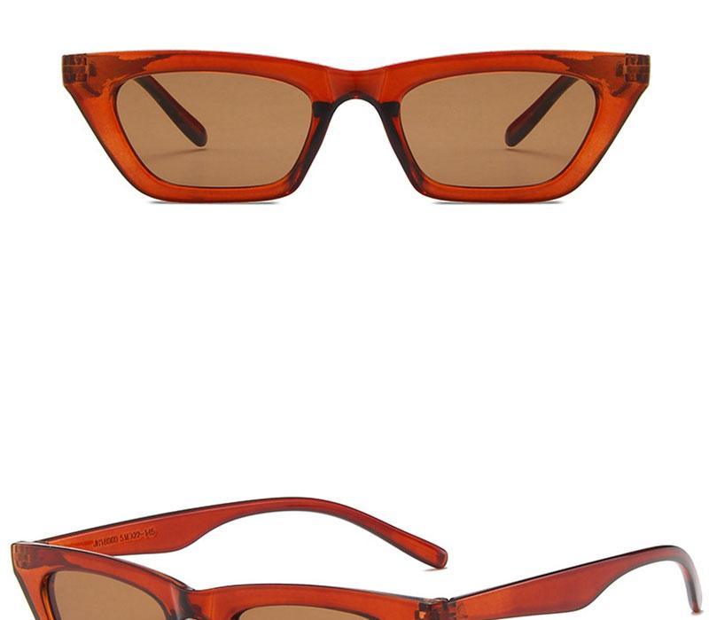 Retro Cat Eye Rectangle Sunglasses for Women